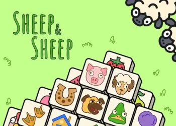 Sheep & Sheep